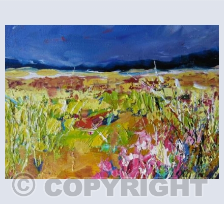 Machair (Dune Flowers)