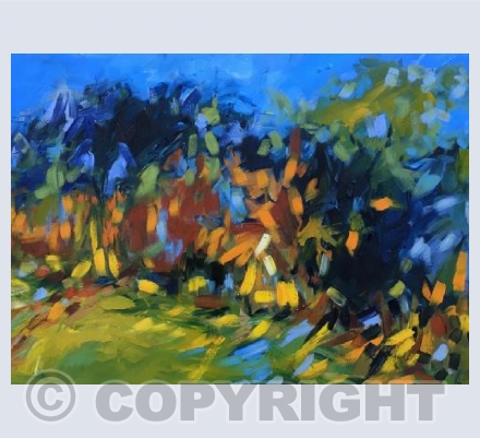 Autumn, Glen Affric