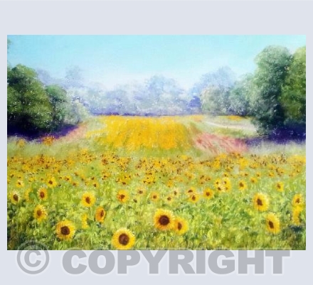 Sunflower Field