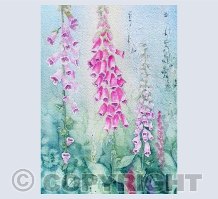 Foxgloves