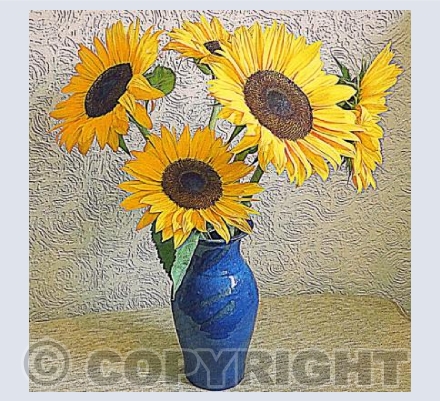 Sunflowers