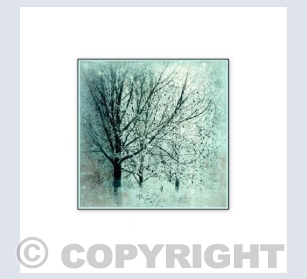 Winter Trees (white)