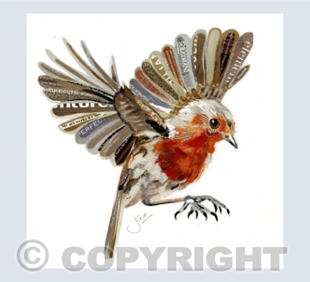 Robin in Flight