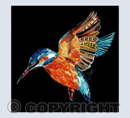 Kingfisher in Flight