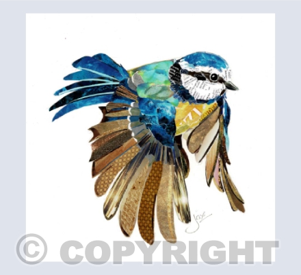 Blue tit in flight