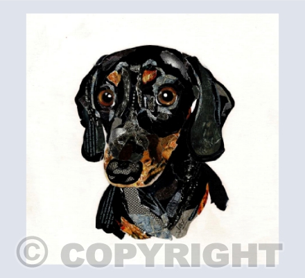 Darcy