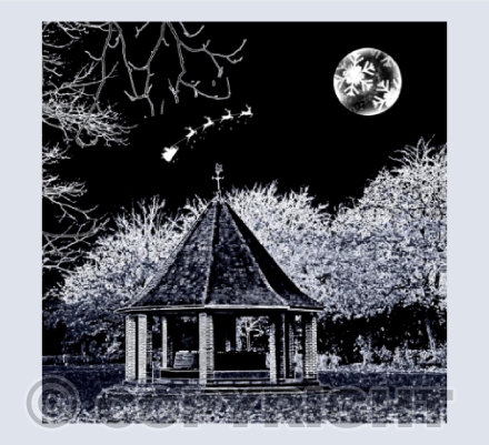 Florence Park Christmas