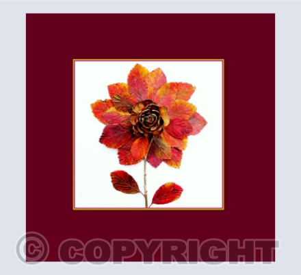 Autumn Flower