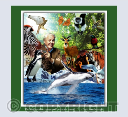 David Attenborough