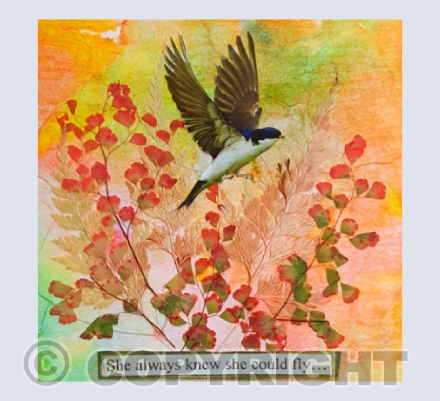 She always knew she could fly