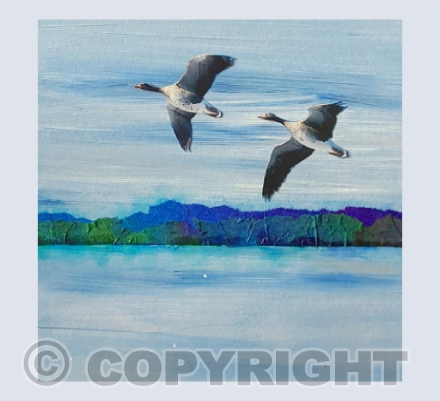 Where Wild Geese Fly