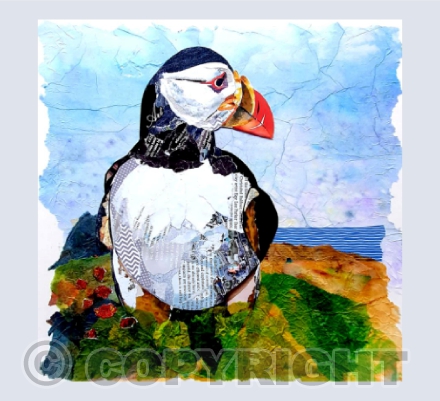 Puffin on the rocks