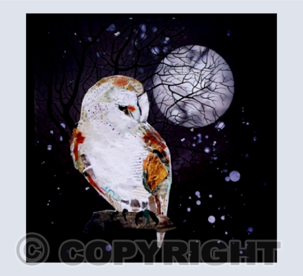 Night Owl