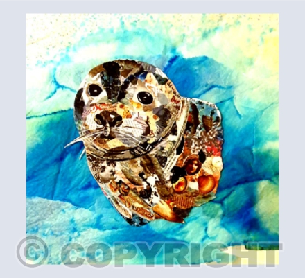 Grey seal 2