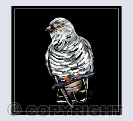 Cuckoo