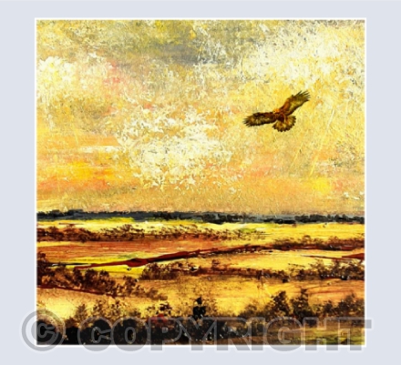Eagle over Summer Fields