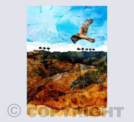 Flying High