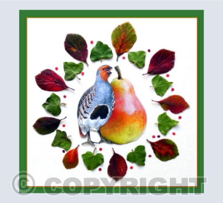 First Day of Christmas