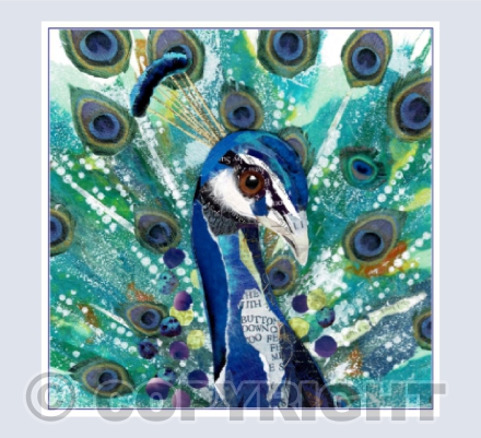 Peacock detail