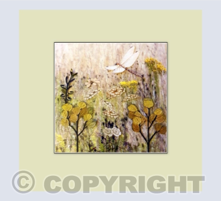 Summer Meadow