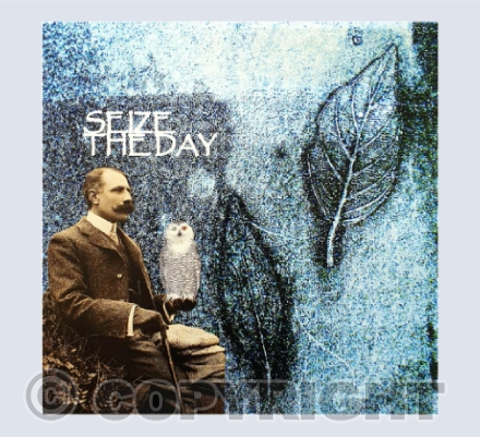 Seize The Day!