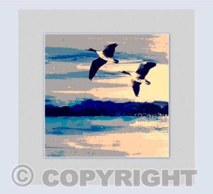 Where Wild Geese Fly P