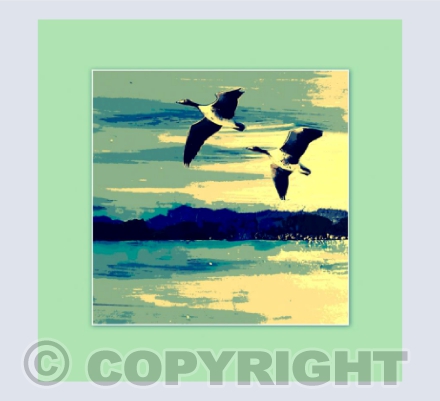 Where Wild Geese Fly G