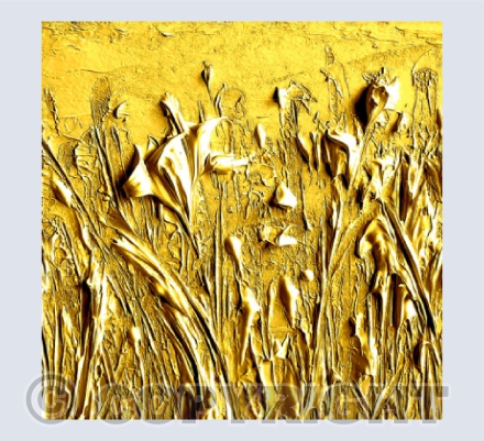 Fields of Gold 2