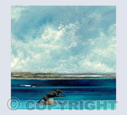 Splashing in the Shallows