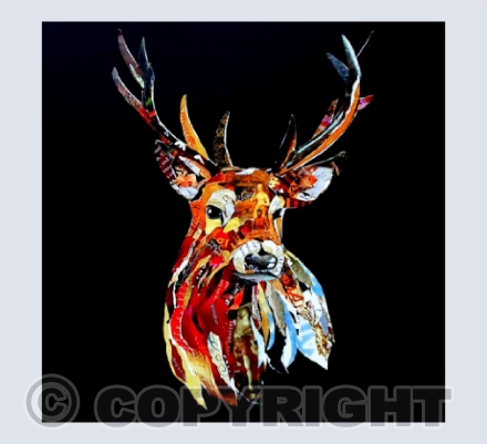Stag on Black