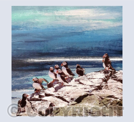 Puffins on clifftop