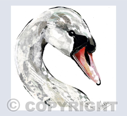 Swan detail