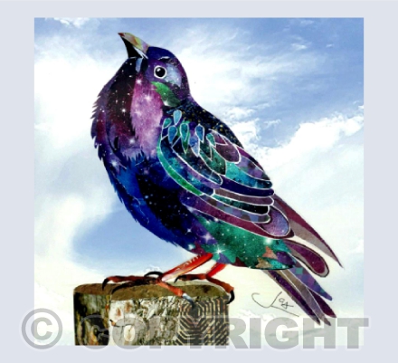 Starling and sky