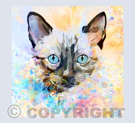 Colourful Siamese