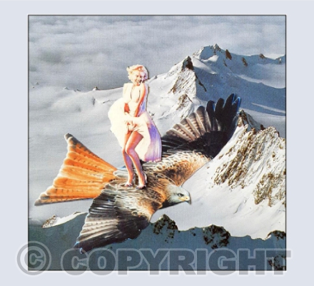 Wing Walker