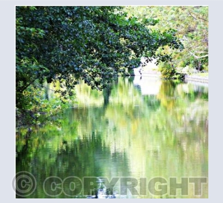 Reflections on the Thames