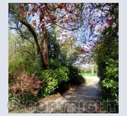 Entrance to Florence Park
