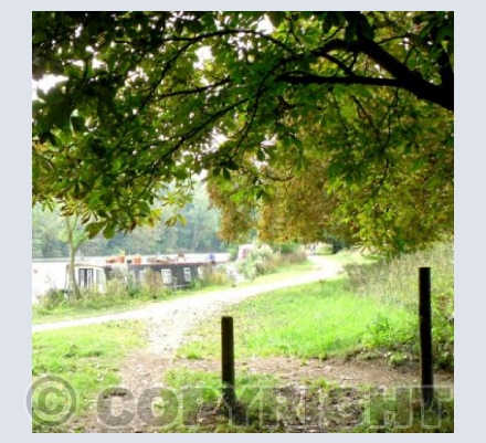 River Thames at Iffley