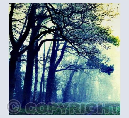 South Parks Oxford