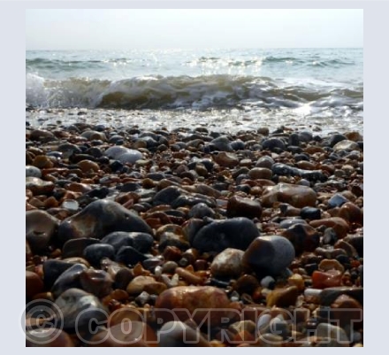 Pebble beach