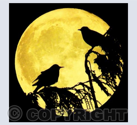 Super moon