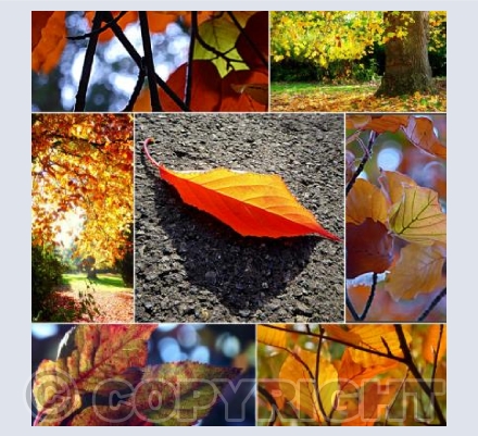 Autumn leaf collage 1
