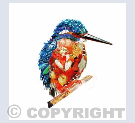 Kingfisher 2