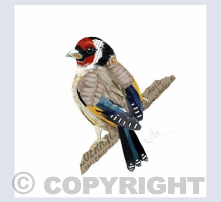 Goldfinch