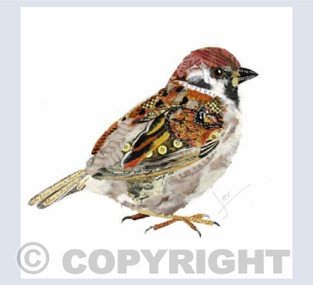 Sparrow