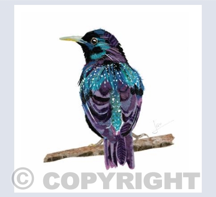 Starling