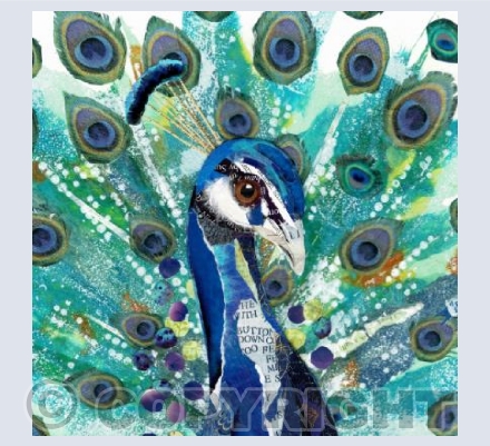 Peacock head