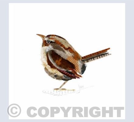 Wren 2