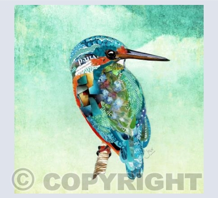 Kingfisher 3