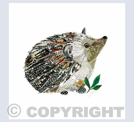 Hedgehog